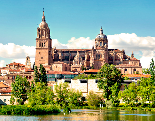 Catedrales de Salamanca vistas desde el río Tormes
